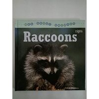 Raccoons