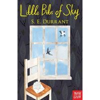 Little Bits of Sky