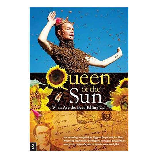 Queen of the Sun - Imagine 1
