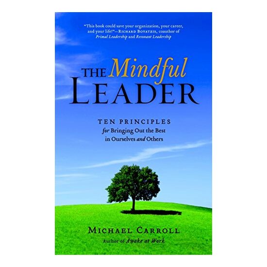 The mindful leader - Imagine 1