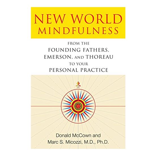 New World Mindfulness