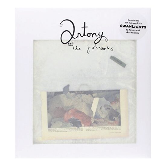 Antony and the Johnsons: Swanlights