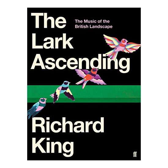Lark Ascending - Imagine 1