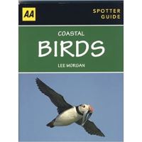 Coastal Birds, Lee Morgan