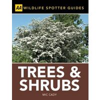 Trees and Shrubs