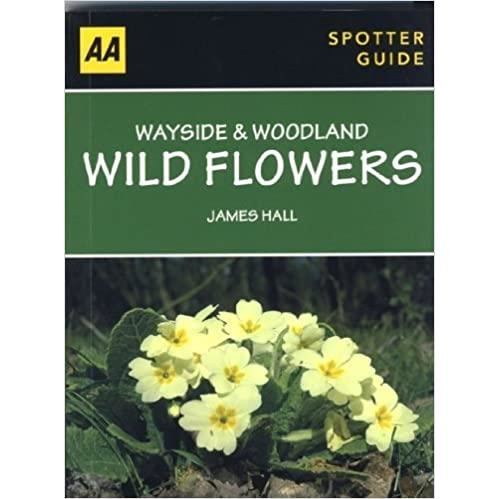 Wayside & Woodland Wild Flowers - Imagine 1