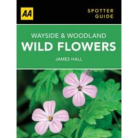 Wayside and Woodland Wild Flowers