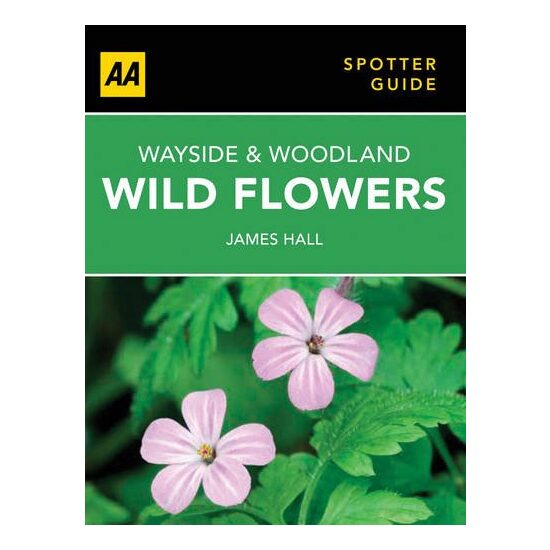 Wayside and Woodland Wild Flowers
