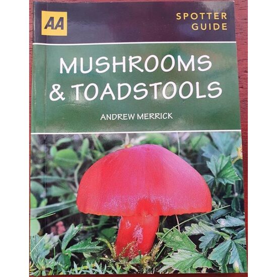 Spotter Guide: Mushrooms & Toadstools, Andrew Merrick