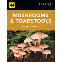 Mushrooms and Toadstools, Andrew Merrick