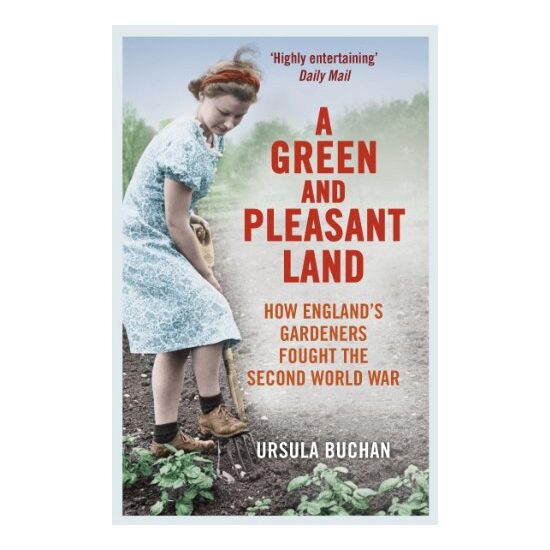 Green and Pleasant Land - Imagine 1