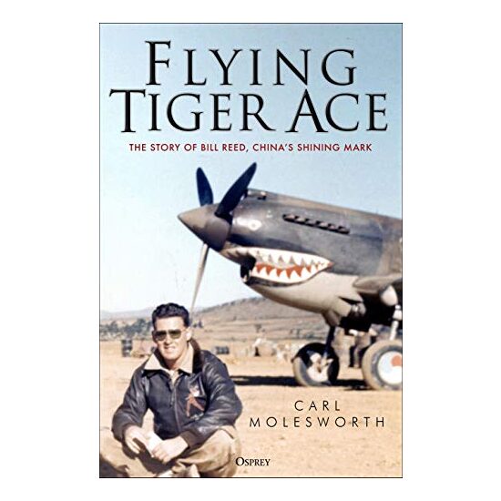 Flying Tiger Ace - Imagine 1