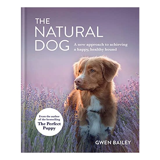 The Natural Dog - Imagine 1