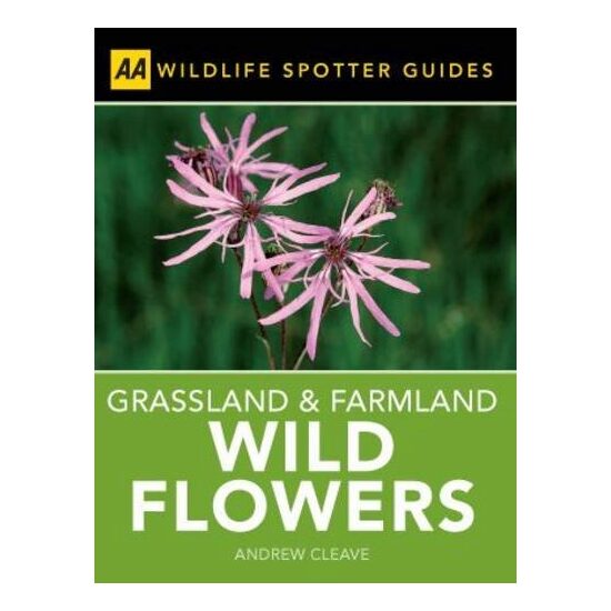 Grassland and Farmland Wild Flowers