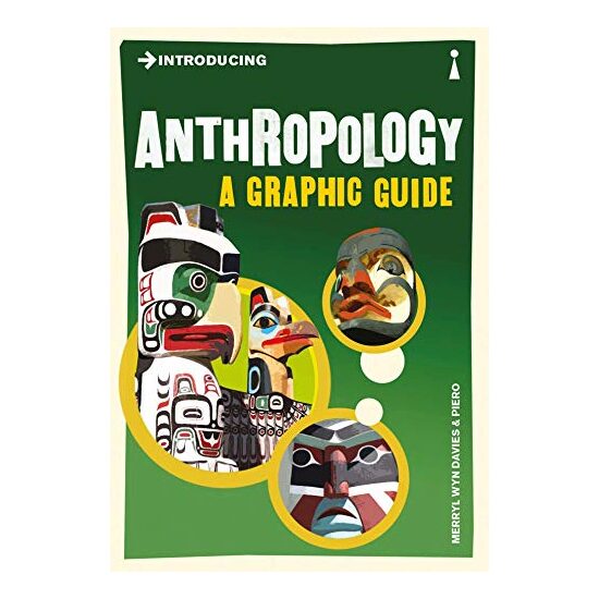Introducing Anthropology: A Graphic Guide - Imagine 1