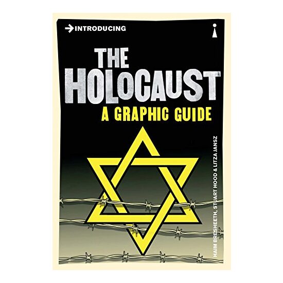 Introducing the Holocaust: A Graphic Guide - Imagine 1