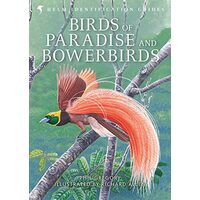 Birds of Paradise and Bowerbirds