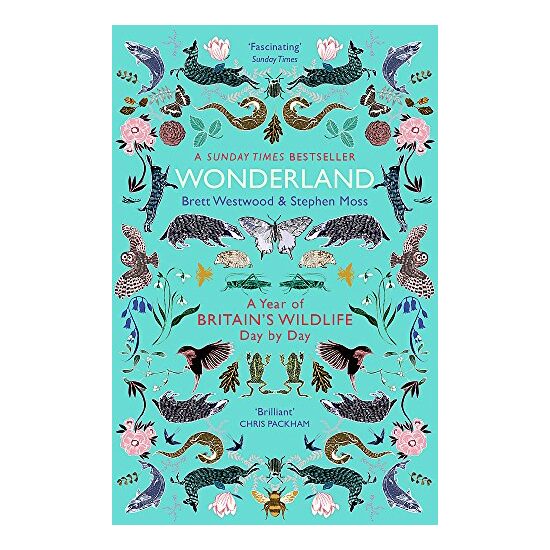 Wonderland