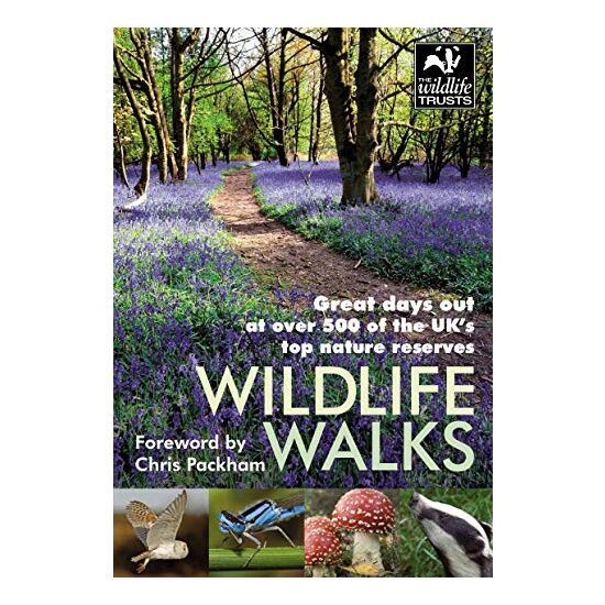 Wildlife Walks - Imagine 1