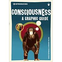 Introducing Consciousness: A Graphic Guide,  David Papineau