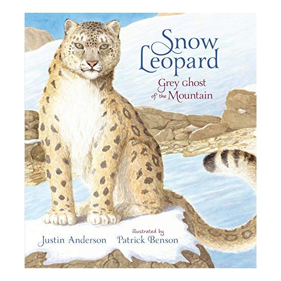 Snow Leopard: Grey Ghost of the Mountain