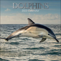 Dolphins calendar 2023
