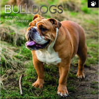 Bulldogs calendar 2023