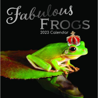 Fabulous frogs calendar 2023