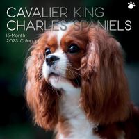 Cavalier king charles spaniels calendar 2023