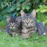 Cats & kittens calendar 2023