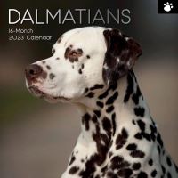 Dalmatians calendar 2023