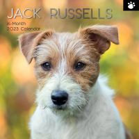 Jack russells calendar 2023