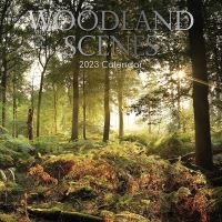 Woodland Scenes Calendar 2023