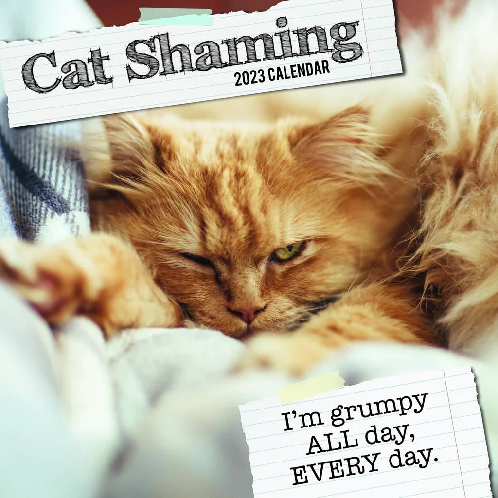 Cat Shaming Calendar 2023 The Gifted Stationary Antic Exlibris Cat Shaming Calendar 2023 The Gifted Stationary Antic Exlibris