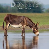 Donkeys calendar 2023
