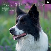 Border collies calendar 2023