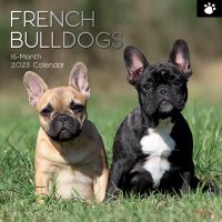French bulldogs calendar 2023
