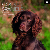 Cocker spaniels calendar 2023