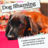 Dog shaming calendar 2023