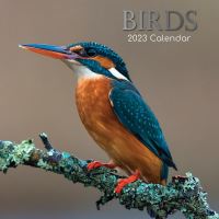 Birds calendar 2023