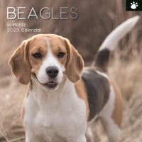 Beagles calendar 2023