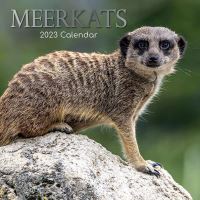 Meerkats calendar 2023