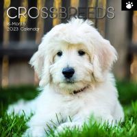 Crossbreads calendar 2023