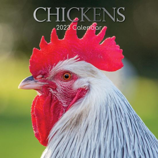 chickens-calendar-2023-the-gifted-stationary-antic-exlibris