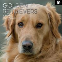 Golden retrievers calendar 2023