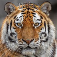 Tigers calendar 2023