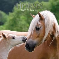 Horses calendar 2023