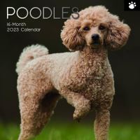 Poodles calendar 2023