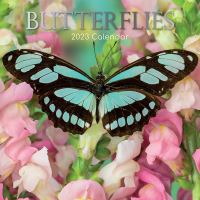 Butterflies calendar 2023