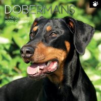 Doberman calendar 2023